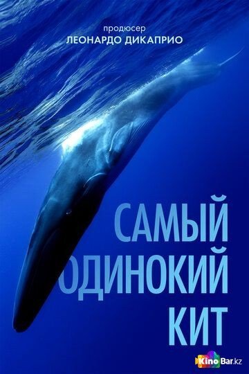 Фильм Самый одинокий кит (2021) смотреть онлайн