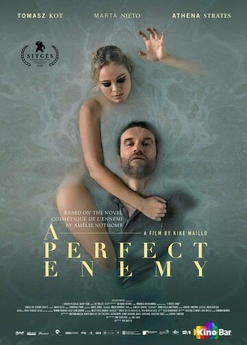 Фильм Идеальный враг (2020) смотреть онлайн