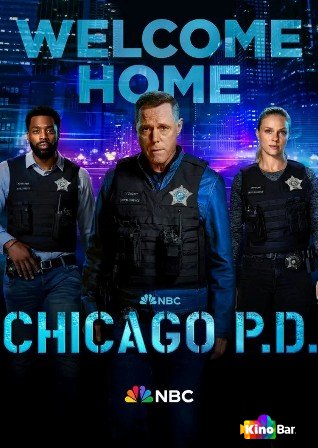 Фильм Полиция Чикаго 11 сезон 1-6 серия смотреть онлайн